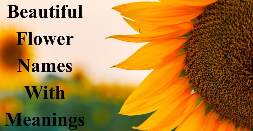 Beautiful Flower Names With Meanings