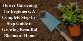 Flower Gardening for Beginners: A Complete Step-by-Step Guide to Growing Beautiful Blooms at Home