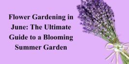 Flower Gardening in June: The Ultimate Guide to a Blooming Summer Garden