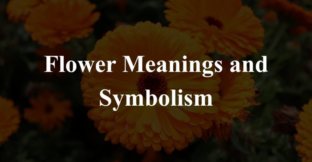 Flower Meanings and Symbolism