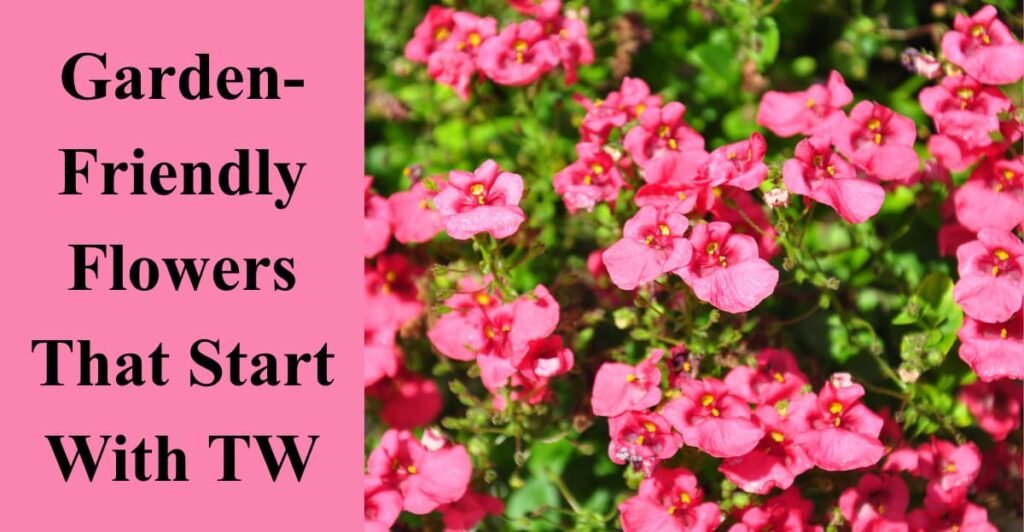 Garden-Friendly Flowers That Start With TW