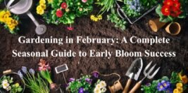 Gardening in February: A Complete Seasonal Guide to Early Bloom Success