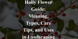 Holly Flower Guide: Meaning, Types, Care Tips, and Uses in Landscaping