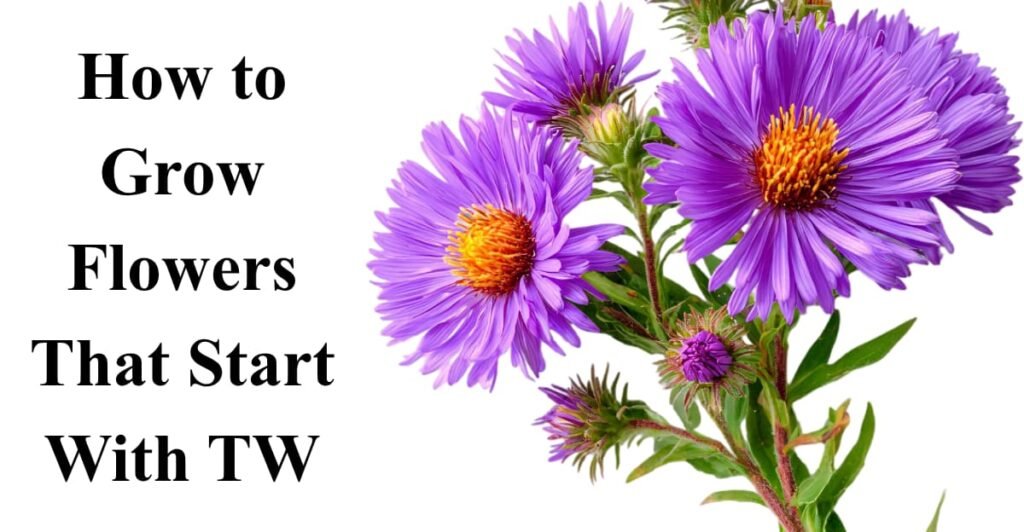 How to Grow Flowers That Start With TW