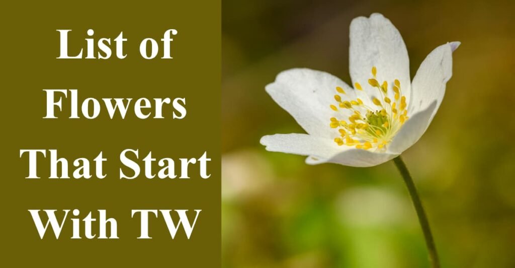 List of Flowers That Start With TW