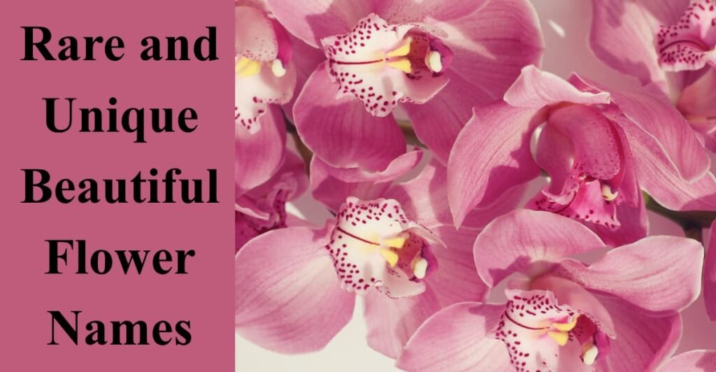 Rare and Unique Beautiful Flower Names