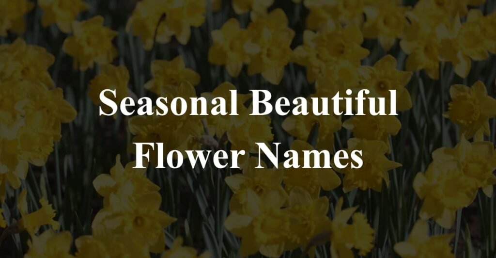 Seasonal Beautiful Flower Names