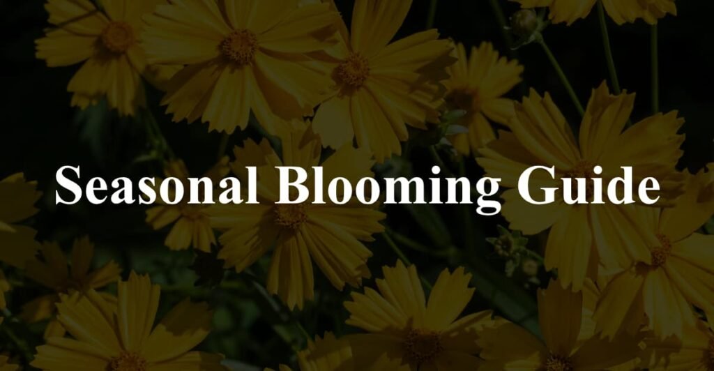 Seasonal-Blooming-Guide
