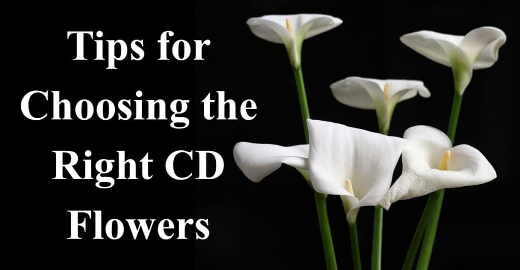 Tips for Choosing the Right CD Flowers