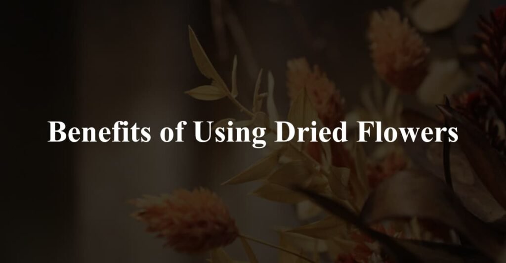 Benefits of Using Dried Flowers