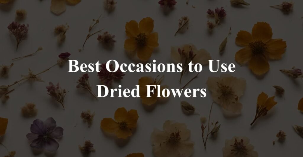 Best Occasions to Use Dried Flowers