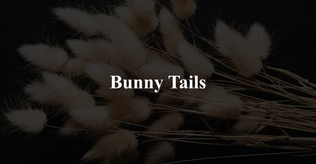 Bunny Tails