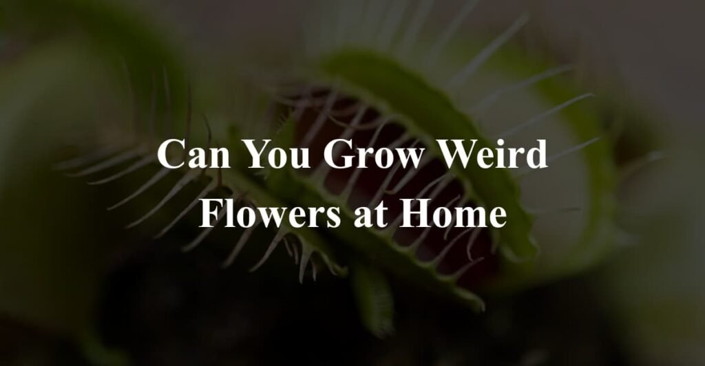 Can You Grow Weird Flowers at Home