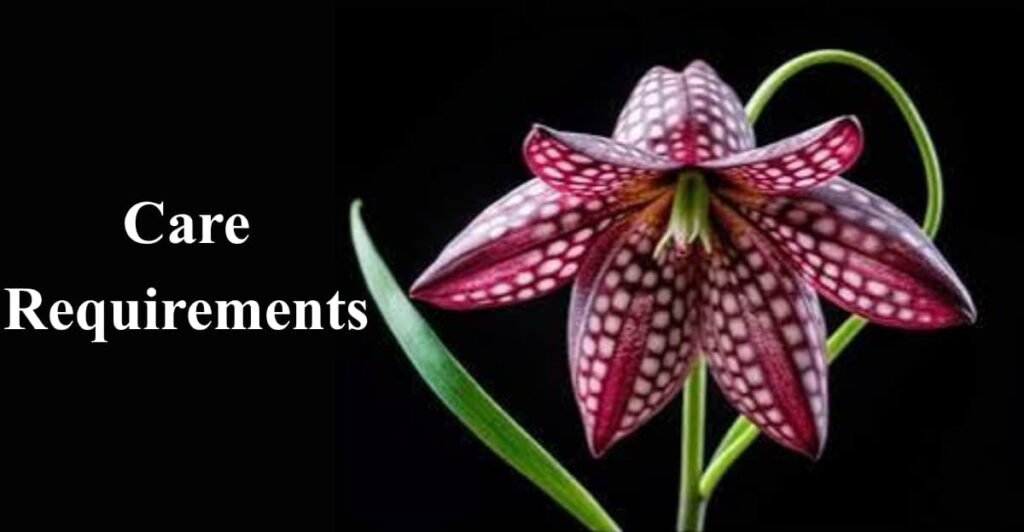 Care Requirements