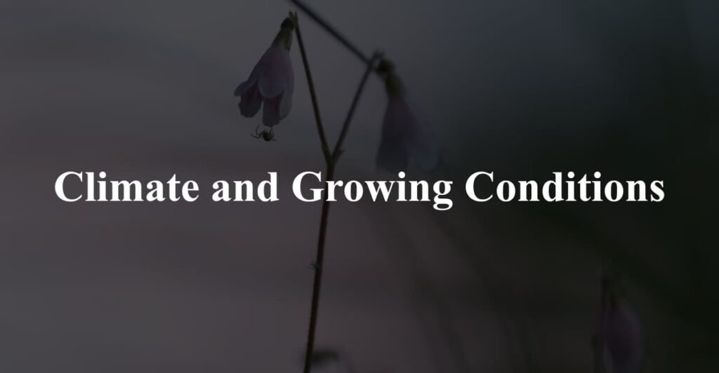 Climate and Growing Conditions