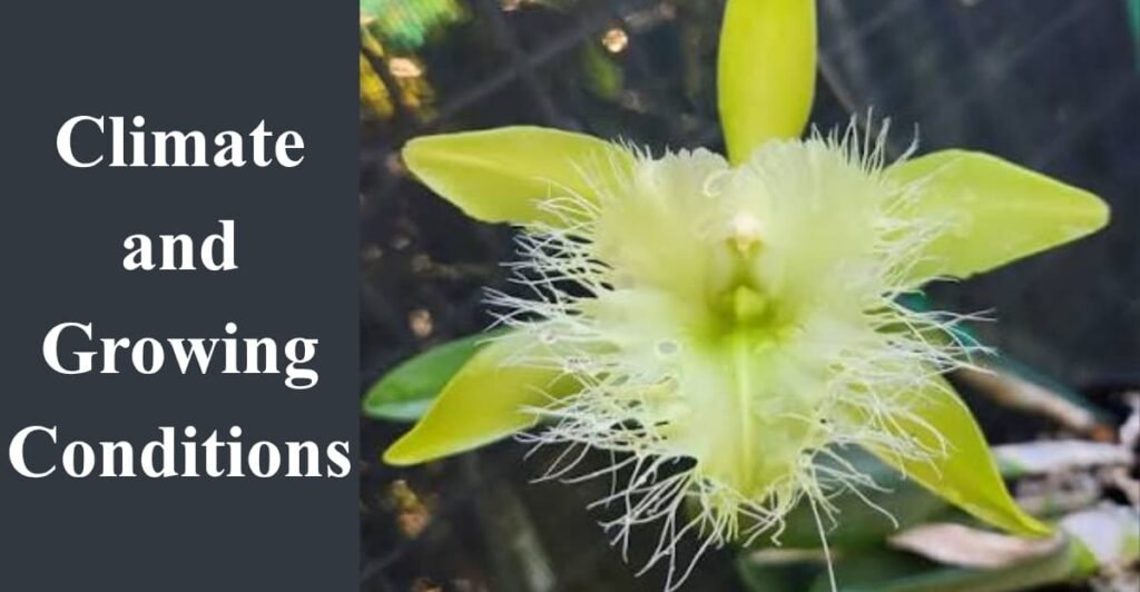 Climate and Growing Conditions