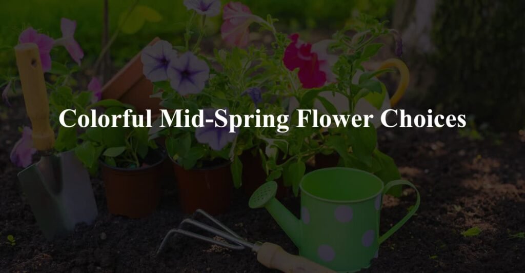 Colorful Mid-Spring Flower Choices