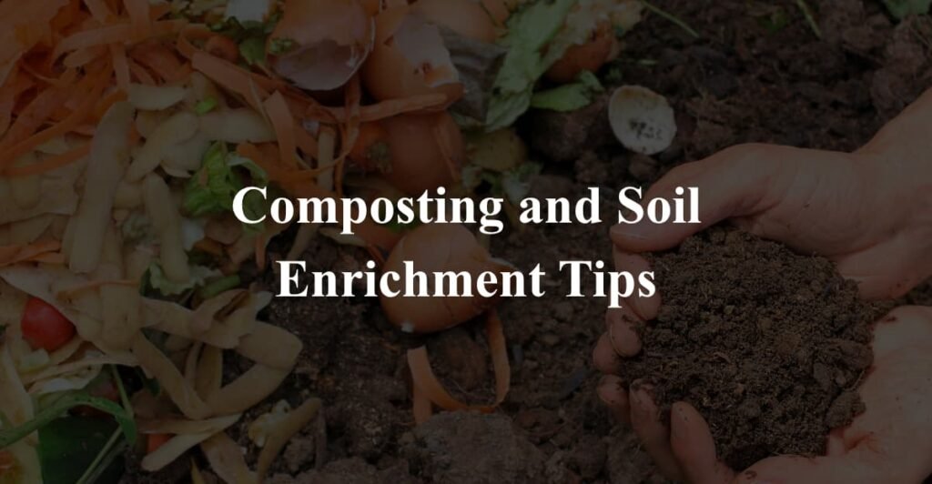 Composting and Soil Enrichment Tips