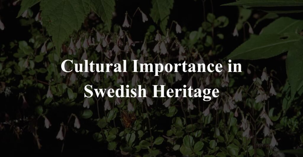Cultural Importance in Swedish Heritage