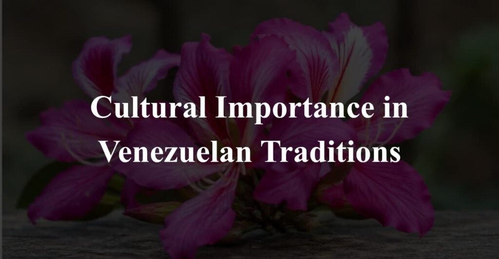 Cultural Importance in Venezuelan Traditions