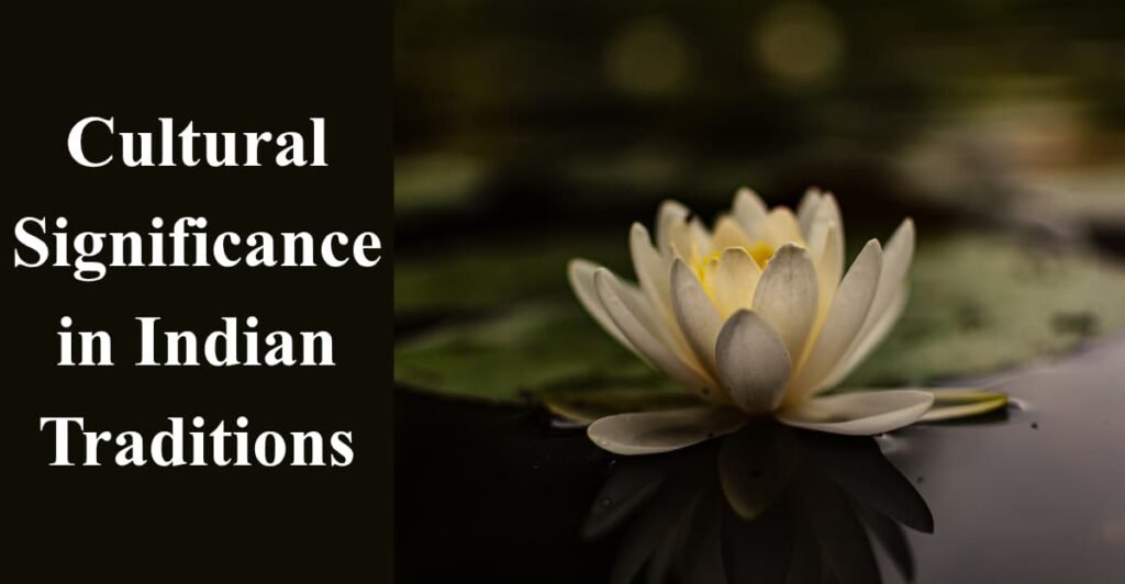Cultural Significance in Indian Traditions