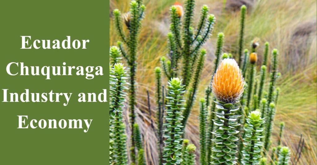 Ecuador Chuquiraga Industry and Economy