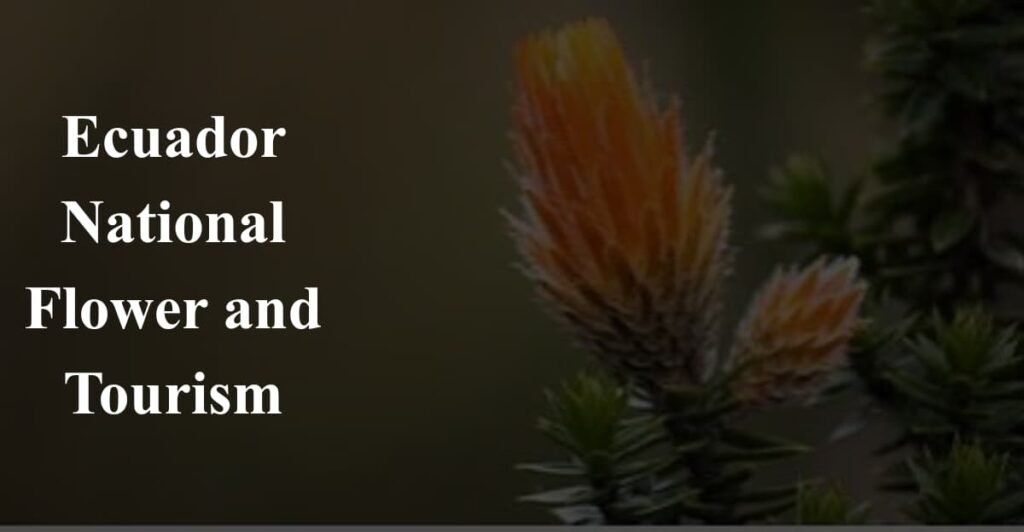 Ecuador National Flower and Tourism