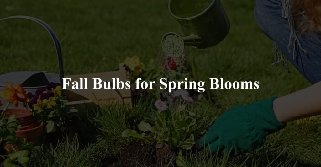 Fall Bulbs for Spring Blooms