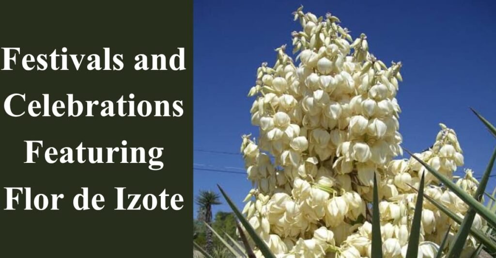 Festivals and Celebrations Featuring Flor de Izote
