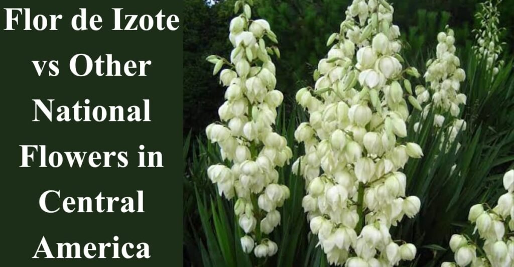 Flor de Izote vs Other National Flowers in Central America