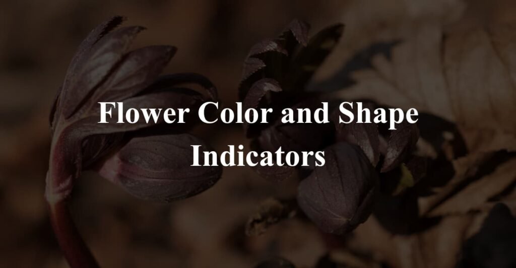 Flower Color and Shape Indicators