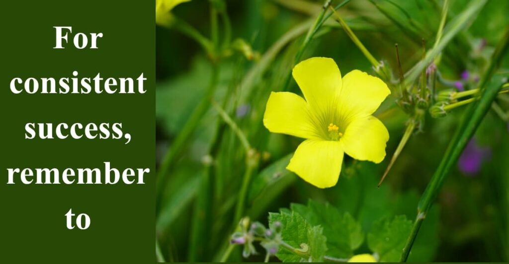 For consistent success, remember to