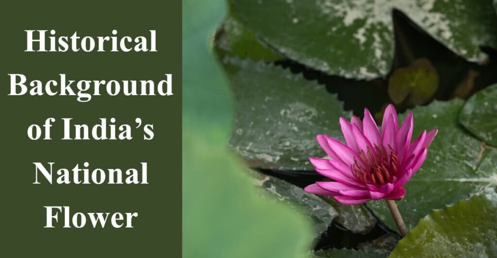 Historical Background of India’s National Flower