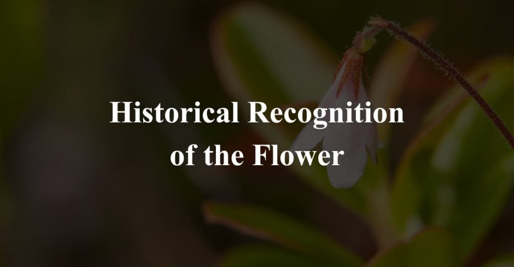 Historical Recognition of the Flower