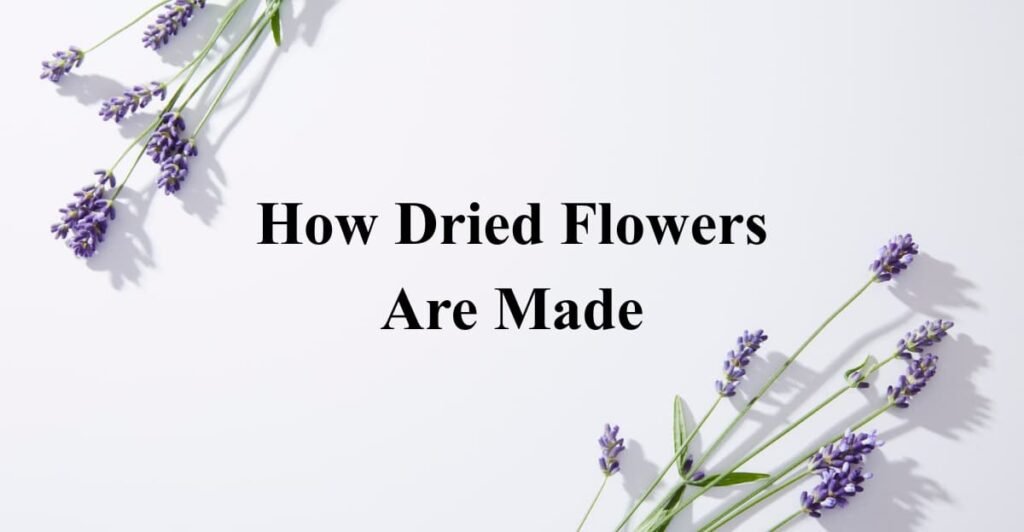 How Dried Flowers Are Made