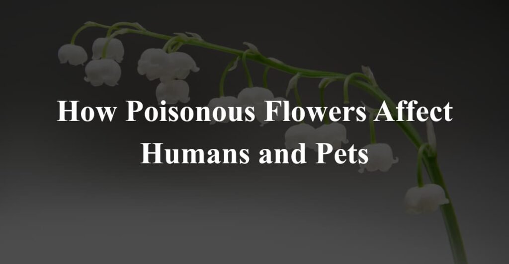 How Poisonous Flowers Affect Humans and Pets