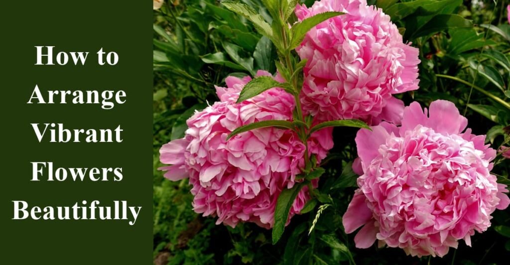 How to Arrange Vibrant Flowers Beautifully