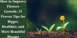 How to Improve Flowers Growth: 15 Proven Tips for Bigger, Healthier, and More Beautiful Blooms