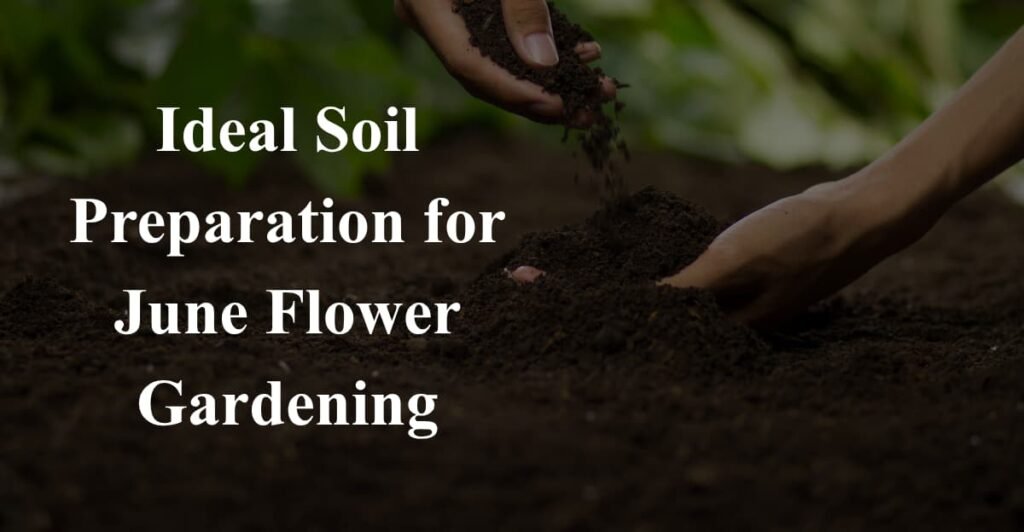 Ideal Soil Preparation for June Flower Gardening