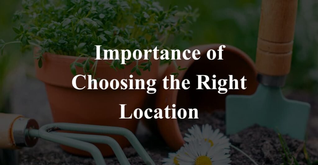 Importance of Choosing the Right Location