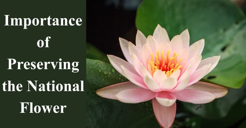 Importance of Preserving the National Flower
