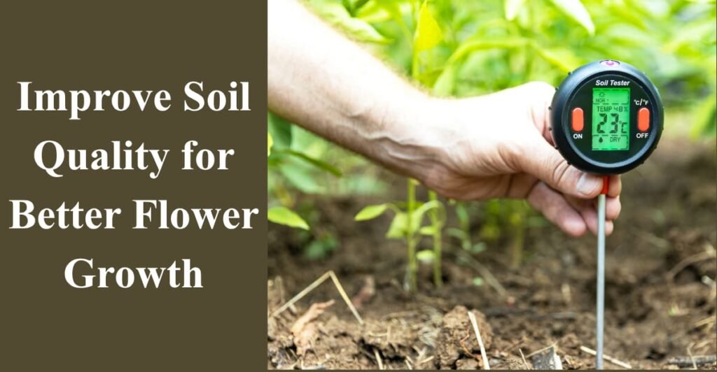 Improve Soil Quality for Better Flower Growth