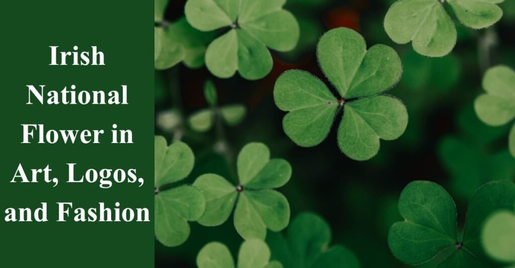 Irish National Flower in Art, Logos, and Fashion