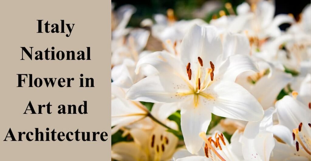 Italy National Flower in Art and Architecture