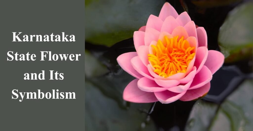 Karnataka State Flower and Its Symbolism