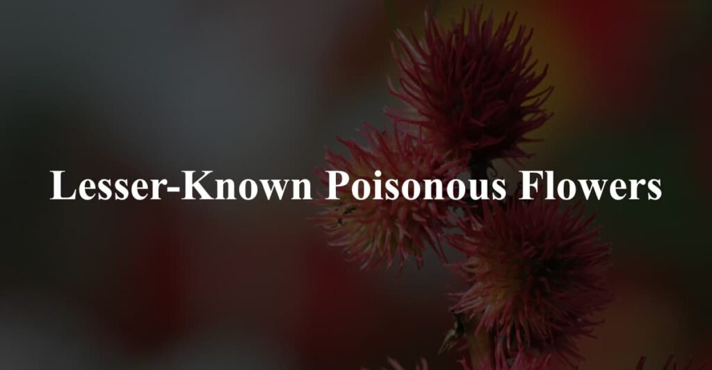 Lesser-Known Poisonous Flowers