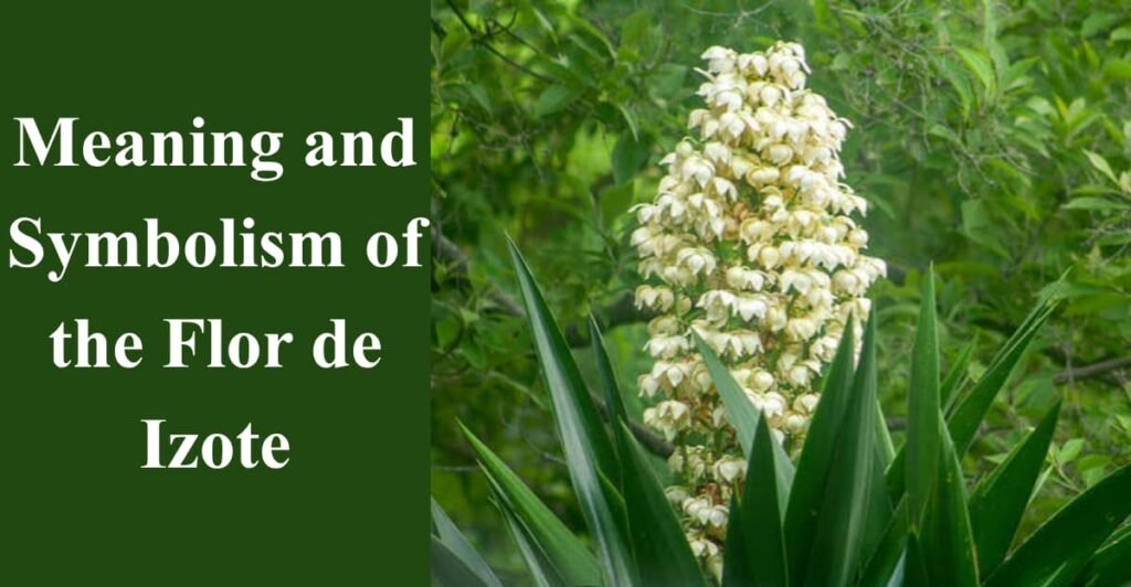 Meaning and Symbolism of the Flor de Izote