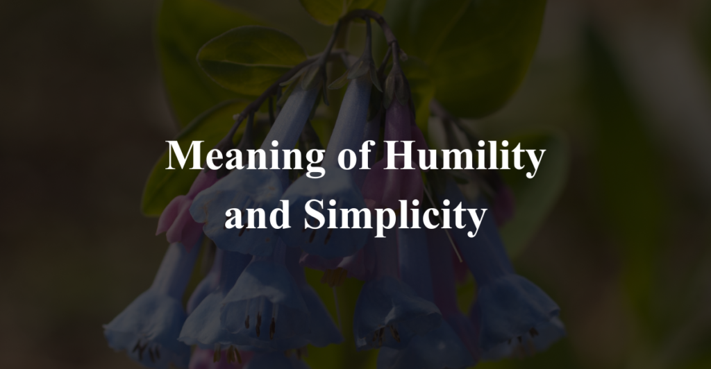 Meaning of Humility and Simplicity