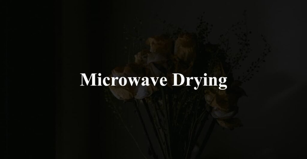 Microwave Drying
