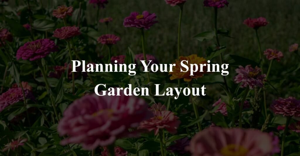 Planning Your Spring Garden Layout